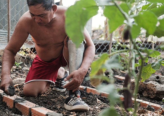 人をつなぐ野菜栽培技術、子どもたちの未来を支えるために