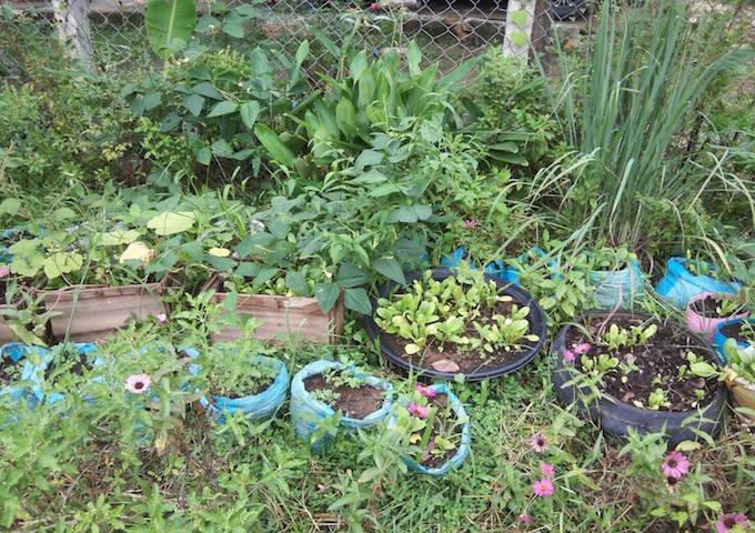 「やってみないとわからない。まずはやってみよう！」の実践