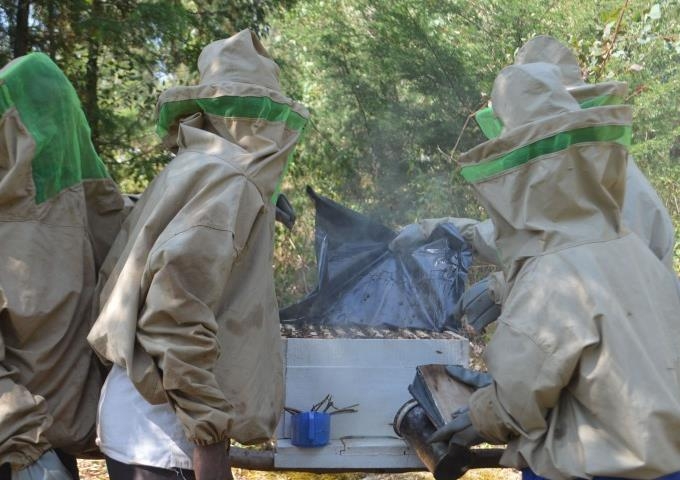 【アフリカレポート/2018年6月_Topic01】