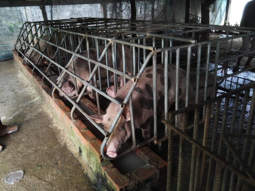 【アジアレポート/2018年7月_Topic01】