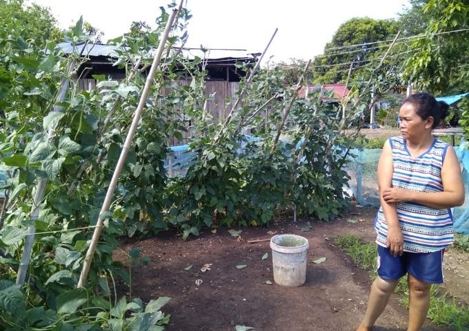 【アジアレポート/2020年5月_Topic02】