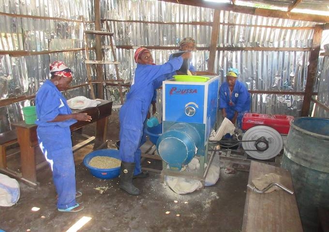 パイナップルジュース作りと農作物一次加工で、コロナ禍を乗り越えようとしています。 パイナップルジュース作りと農作物一次加工で、コロナ禍を乗り越えようとしています。