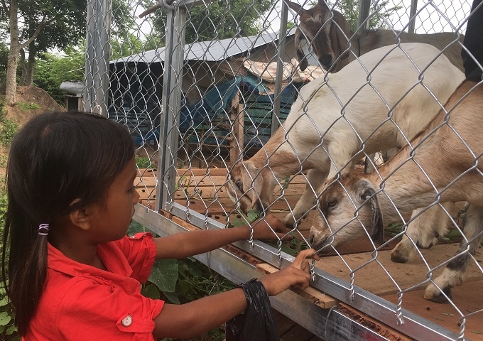 現在の地域の暮らしを支える仕事とテラルネの事業との共通点やつながり