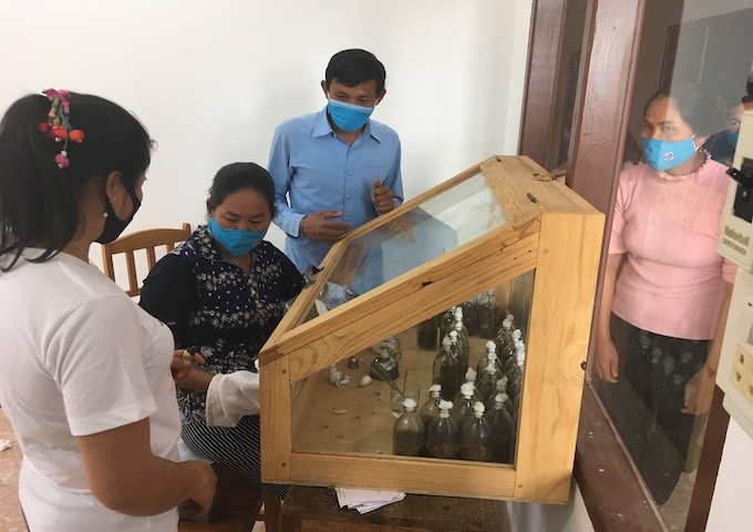 キノコ栽培及び菌糸培養訓練