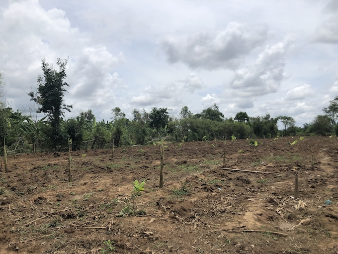 飼料栽培を自分の手で。逆境を乗り超えるしなやかさ