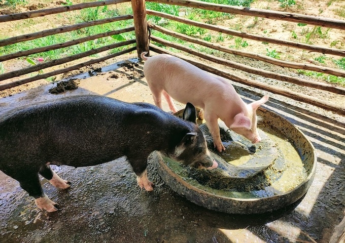 【アジアレポート/2021年8月_Topic01】