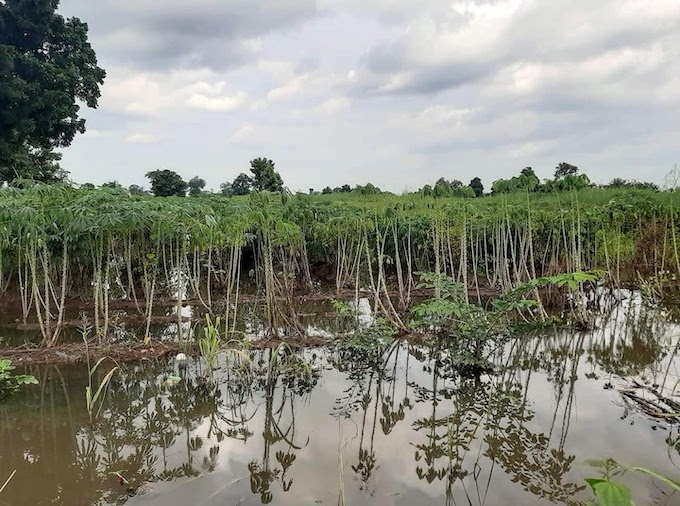 新しい生活の影