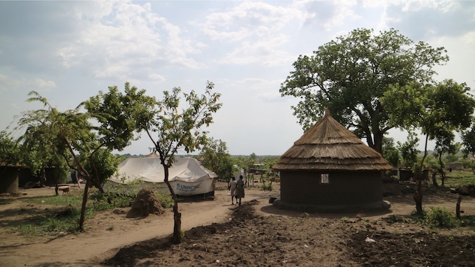 テラ・ルネッサンスの活動