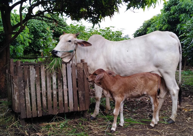 【アジアレポート/2018年9月_Topic02】