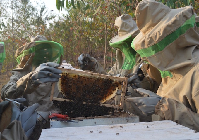 【 アフリカレポート/2018年9月_Topic02 】