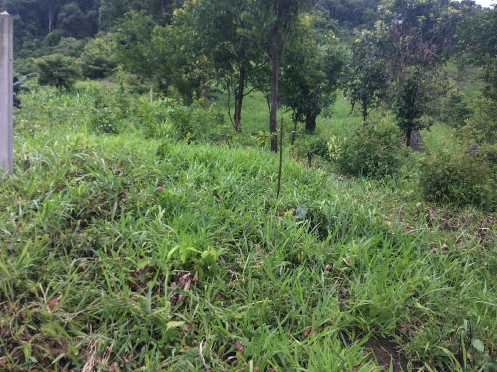 【アジアレポート/2022年6月】