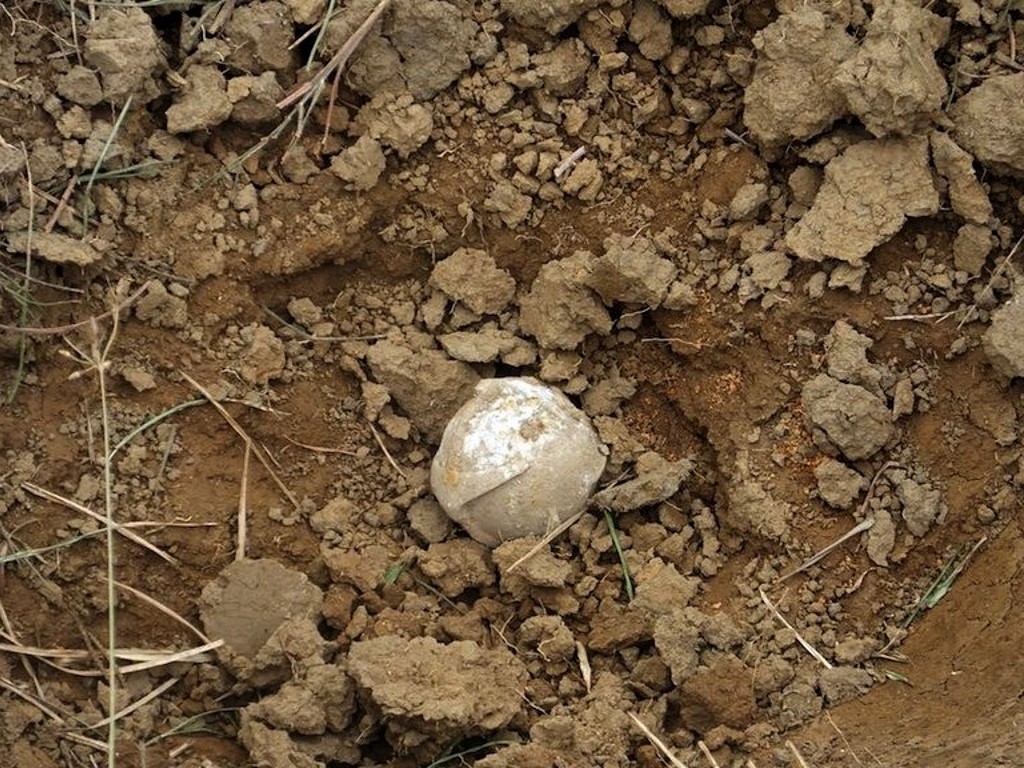 【あの事業、最近どう？/ラオス】