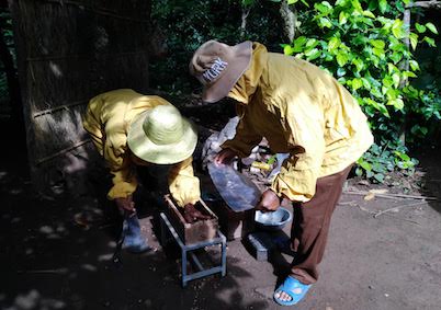 シロアリを撃退⚡ 緊急分蜂作業…！